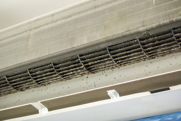 Best General Air Duct Cleaning  in Wfield, IN