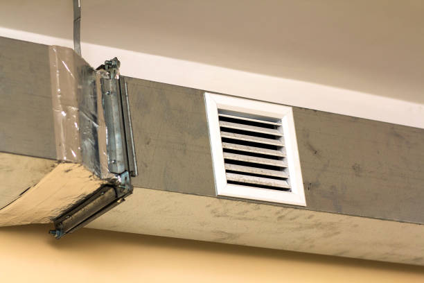 Best Professional Duct Cleaning Services  in Wfield, IN