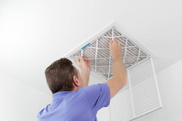 Best Air Duct Sanitizing Services  in Wfield, IN